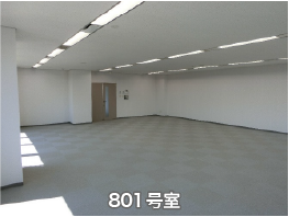 801号室