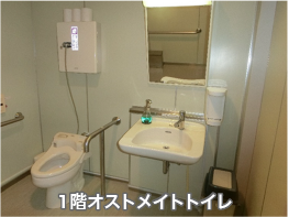 １階オストメイトトイレ